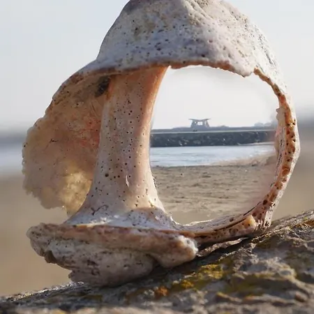 Family Electra Hotel 2*