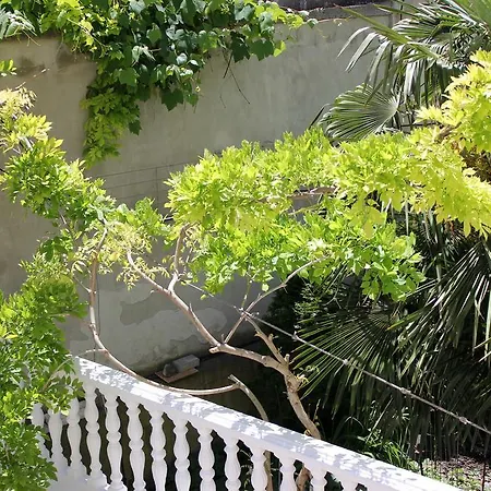 Family Electra פומורי