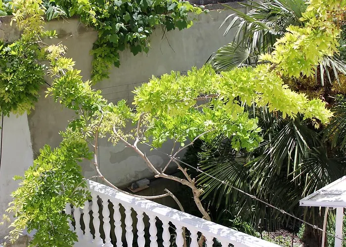 Family Electra Pomorie